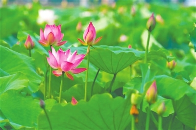 29c50d4f3d10eb69246196c68205047.jpg 29c50d4f3d10eb69246196c68205047.jpg