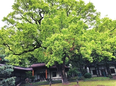 fdd35d0d9da6260eeb30d76fc27fe7e.jpg fdd35d0d9da6260eeb30d76fc27fe7e.jpg