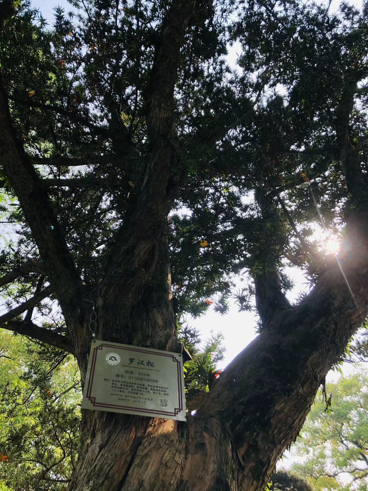 8668e06770a0f56be0cc1eeace7d3263_.jpg 8668e06770a0f56be0cc1eeace7d3263_.jpg