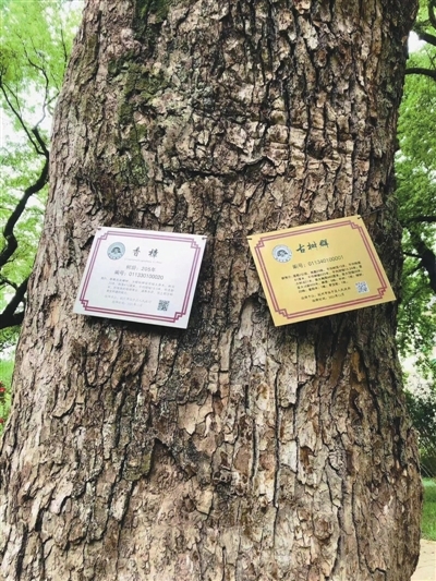 2571335c3e5a09c13d8dbb0e6db705f.jpg 2571335c3e5a09c13d8dbb0e6db705f.jpg