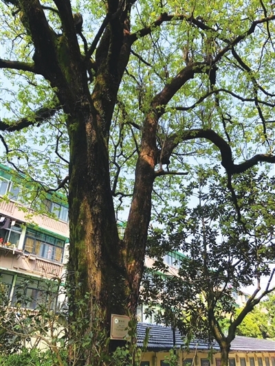 bae35ef607208910380c4f1b841c417.jpg bae35ef607208910380c4f1b841c417.jpg