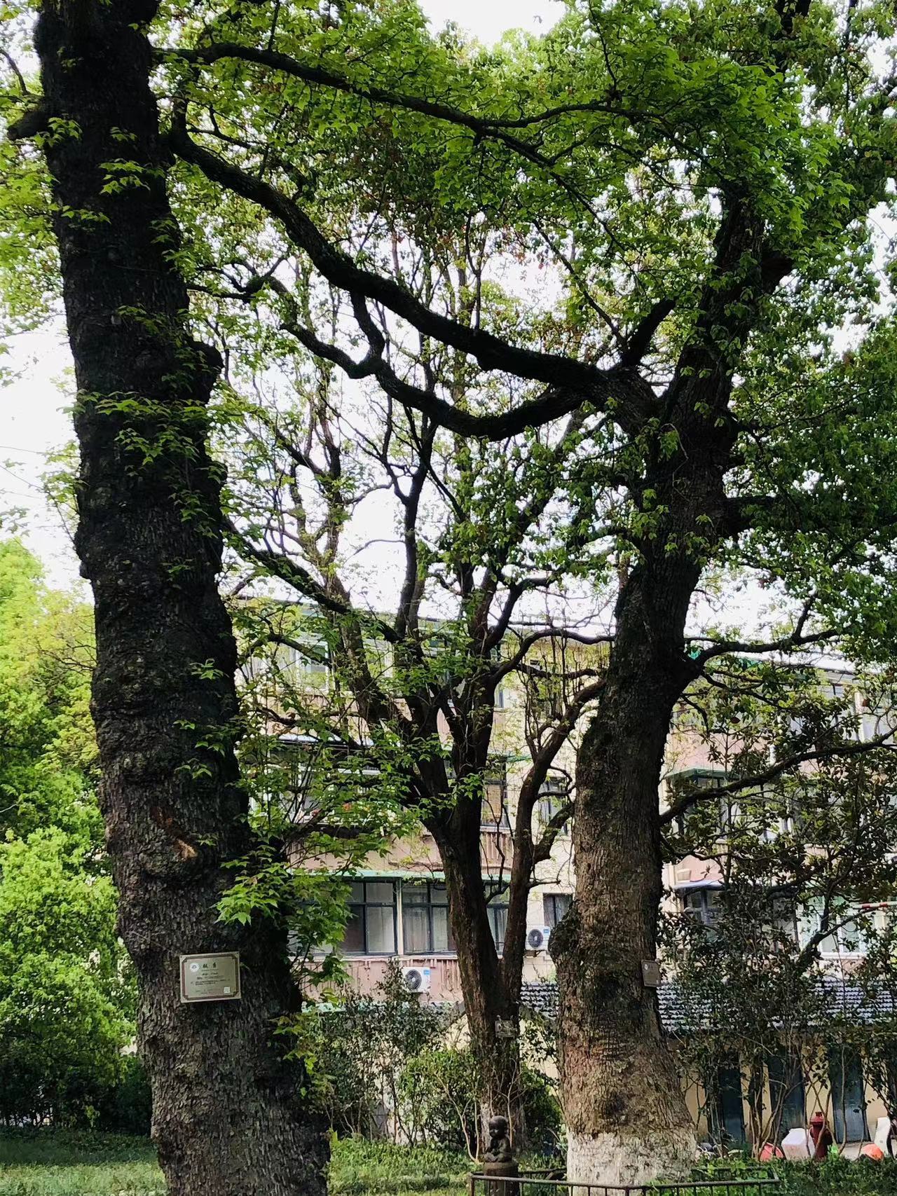 08e6a38bd45712097e4583ca39c5a3ac_.jpg 08e6a38bd45712097e4583ca39c5a3ac_.jpg