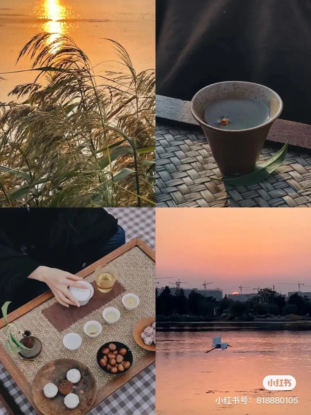 微信图片_20220308155135.jpg 图片