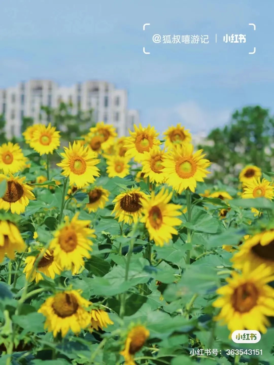 微信图片_20220308155800.jpg 图片