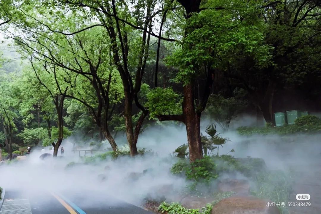 微信图片_20210515181400.jpg 图片