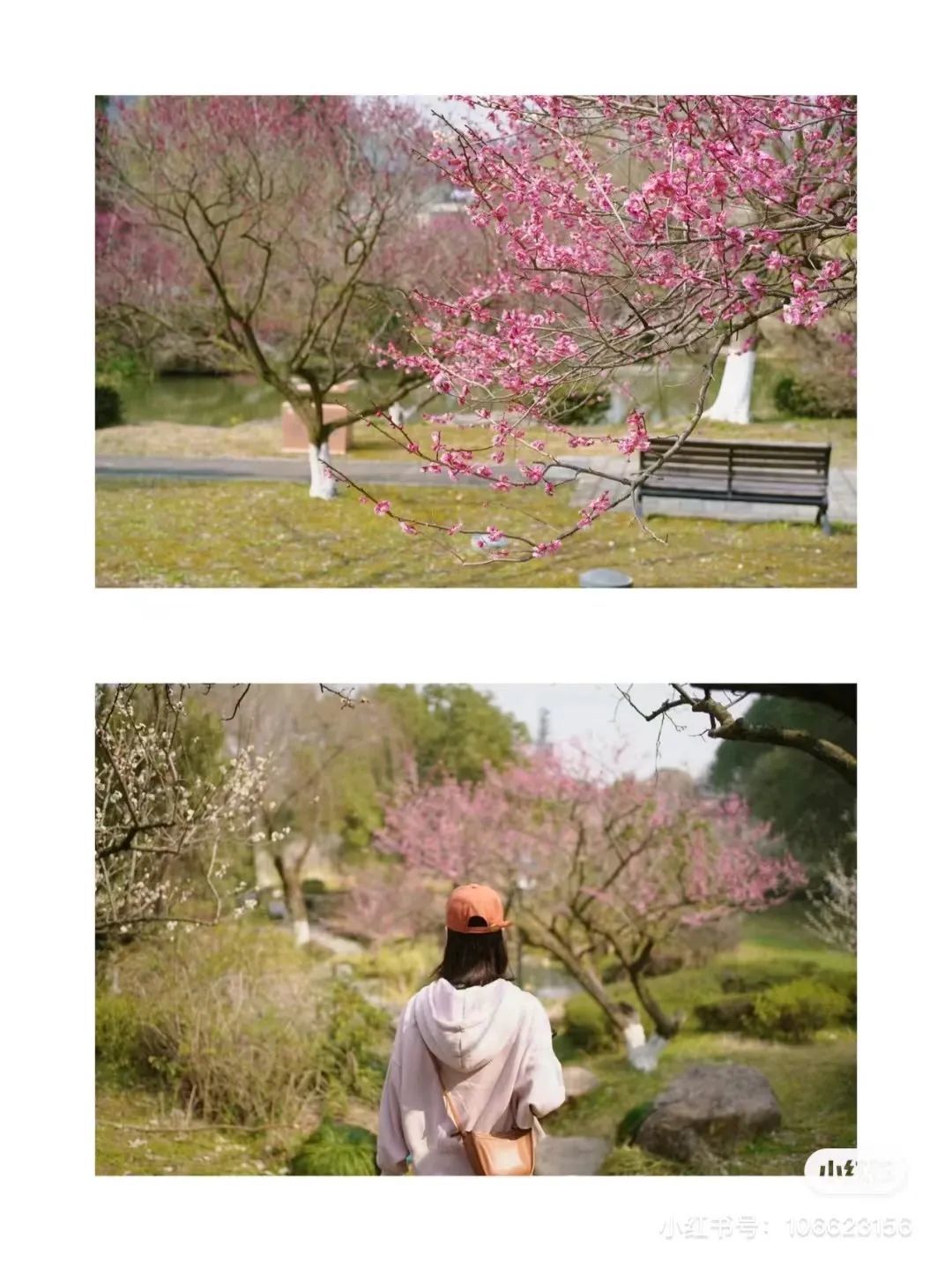 微信图片_20220308153356.jpg 图片