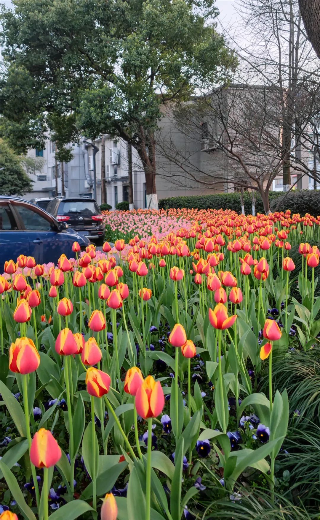 3809862266_54780720808_retouch_2022032115272652.jpg 图片