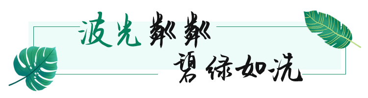 小标题0511_02.png 图片