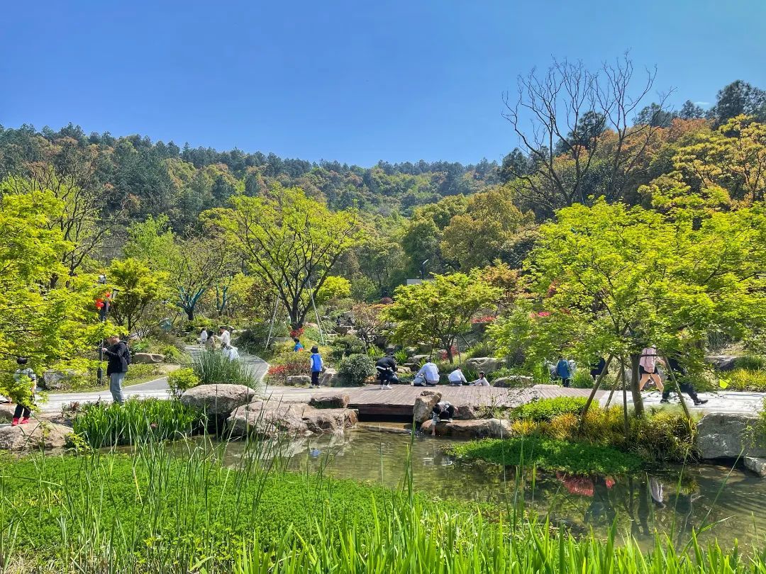 b1415a0d8283eaf204048d8655f38ee.jpg 图片