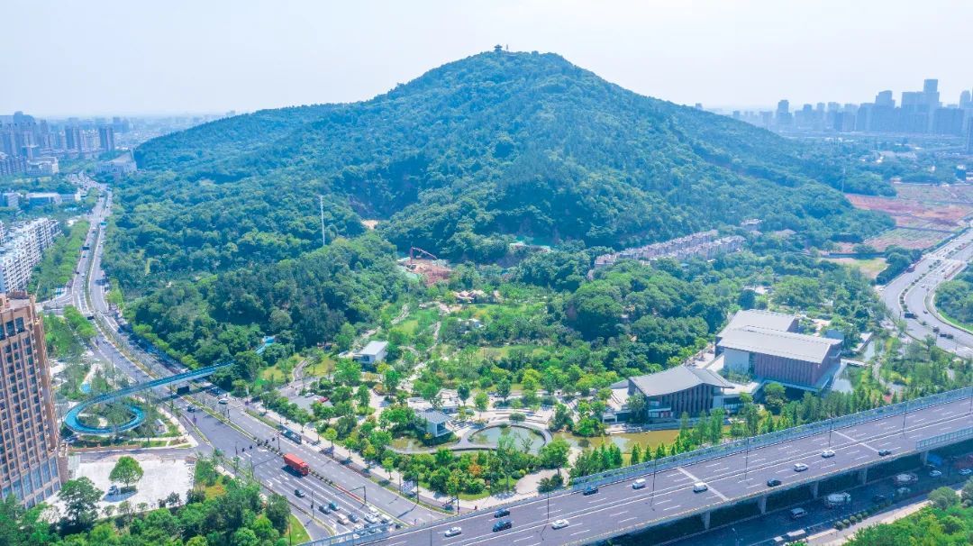 DJI_0651-HDR.jpg 图片