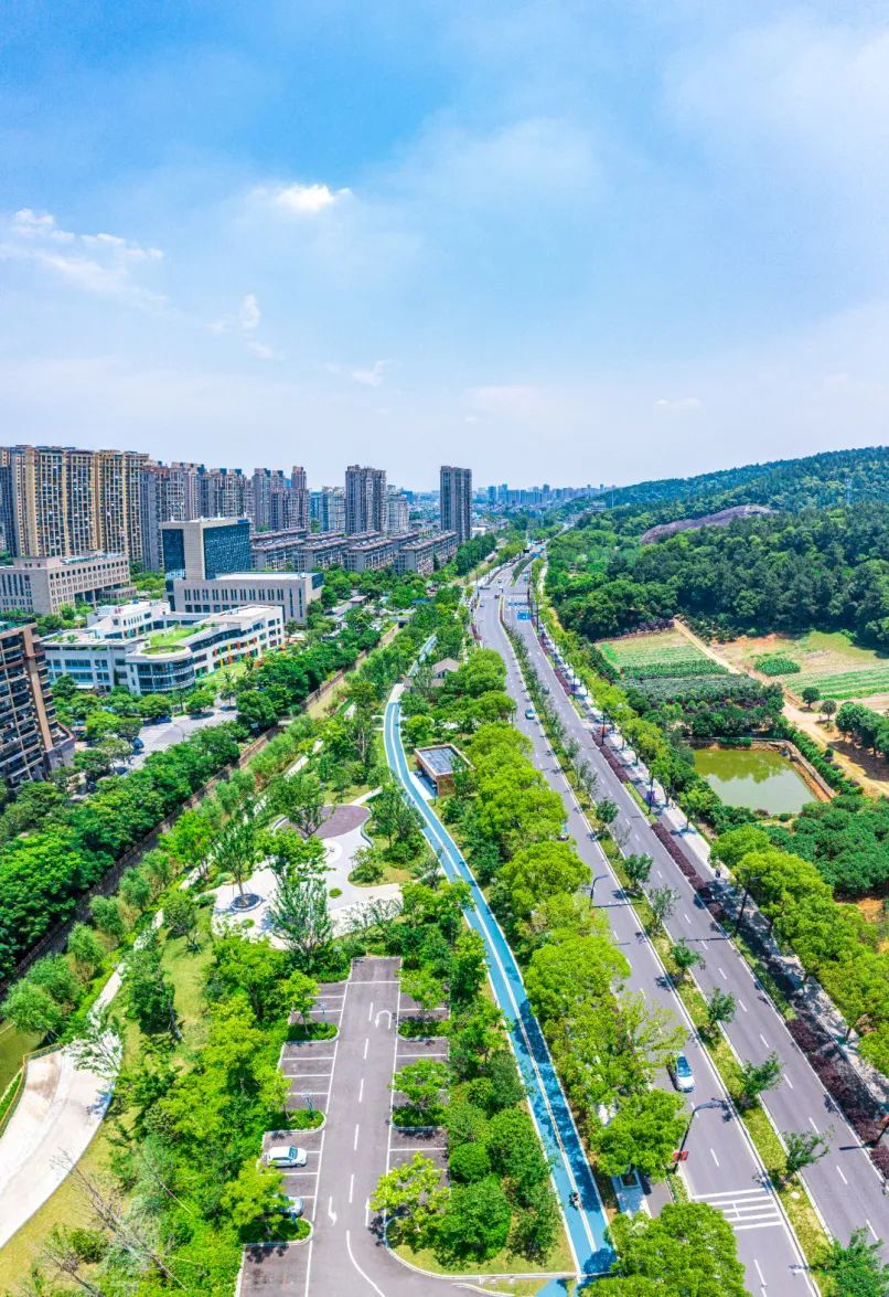 PANO0001-Pano_2.jpg 图片