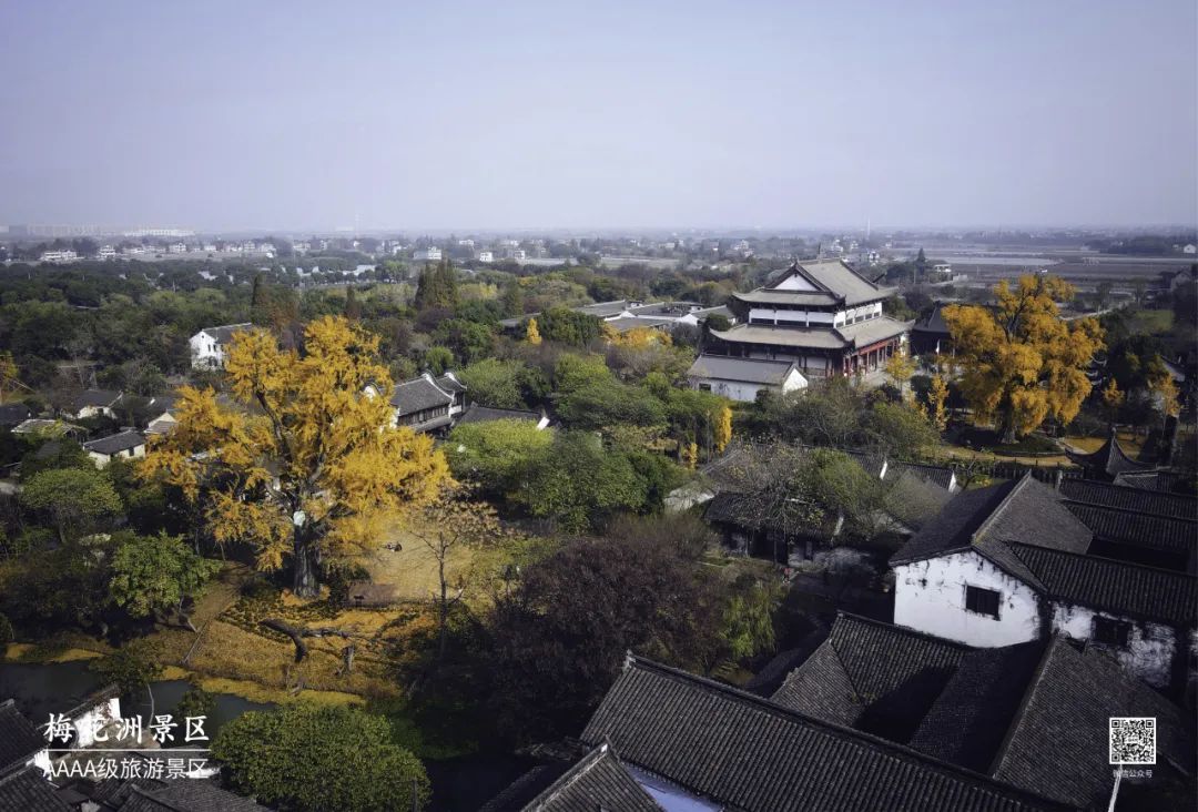 临平人这些景点免费游立马走起